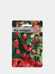 Семена, Земляника "Ред Вондер"