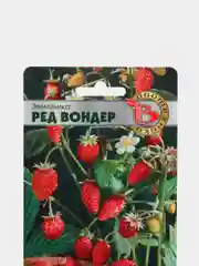 Семена, Земляника "Ред Вондер"