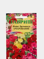 Флокс Друмонда "Очарование", семена
