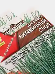Семена Лук шнитт "Витаминный сноп" набор 1, 3, 5 уп