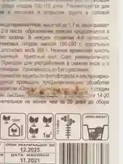 Семена Томат "Ослиные уши малиновые"