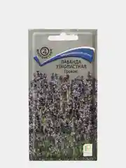 Лаванда узколистная "Прованс"(семена,цветы)