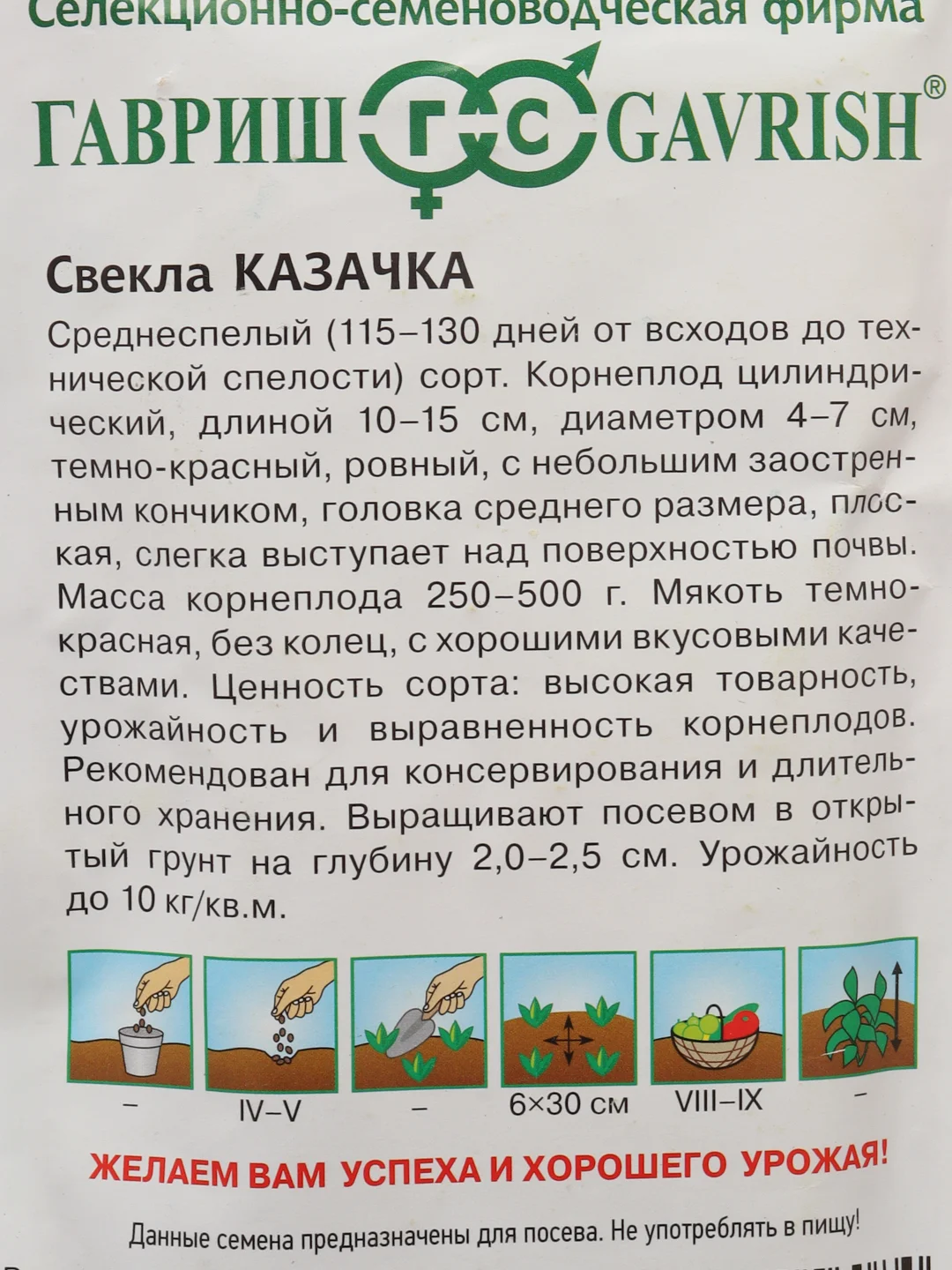 Свекла столовая "Казачка", семена