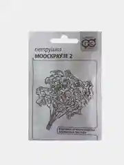 Семена Петрушка кудрявая "Мооскраузе-2", белый пакет, 2 г