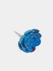 Суккуленты