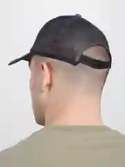 Синий кепка в сеточку