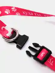 Ошейник с фастексом "Куда ты, туда я!"  40 х 1,5 см