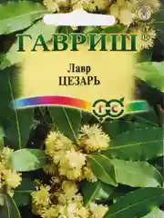 Лавр Цезарь (семена,цветы)