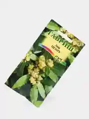 Лавр Цезарь (семена,цветы)