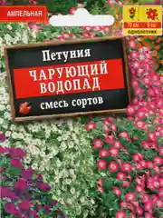 Петуния Чарующий водопад (семена,цветы)