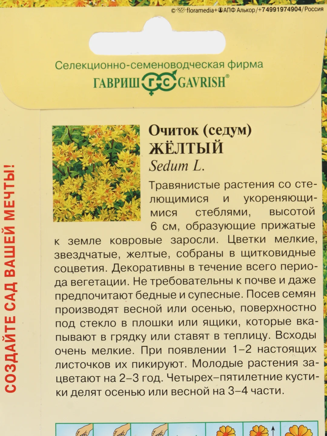 Очиток Желтый (семена,цветы)