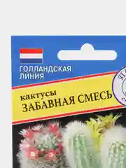 Кактус "Забавная смесь", семена, цветы