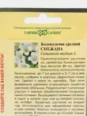 Колокольчик Снежана (семена, цветы)