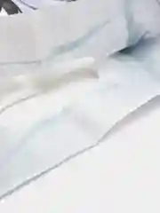 Фиолетовый пакет подарочный