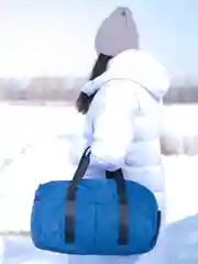 Сумка для фитнеса Ф-11