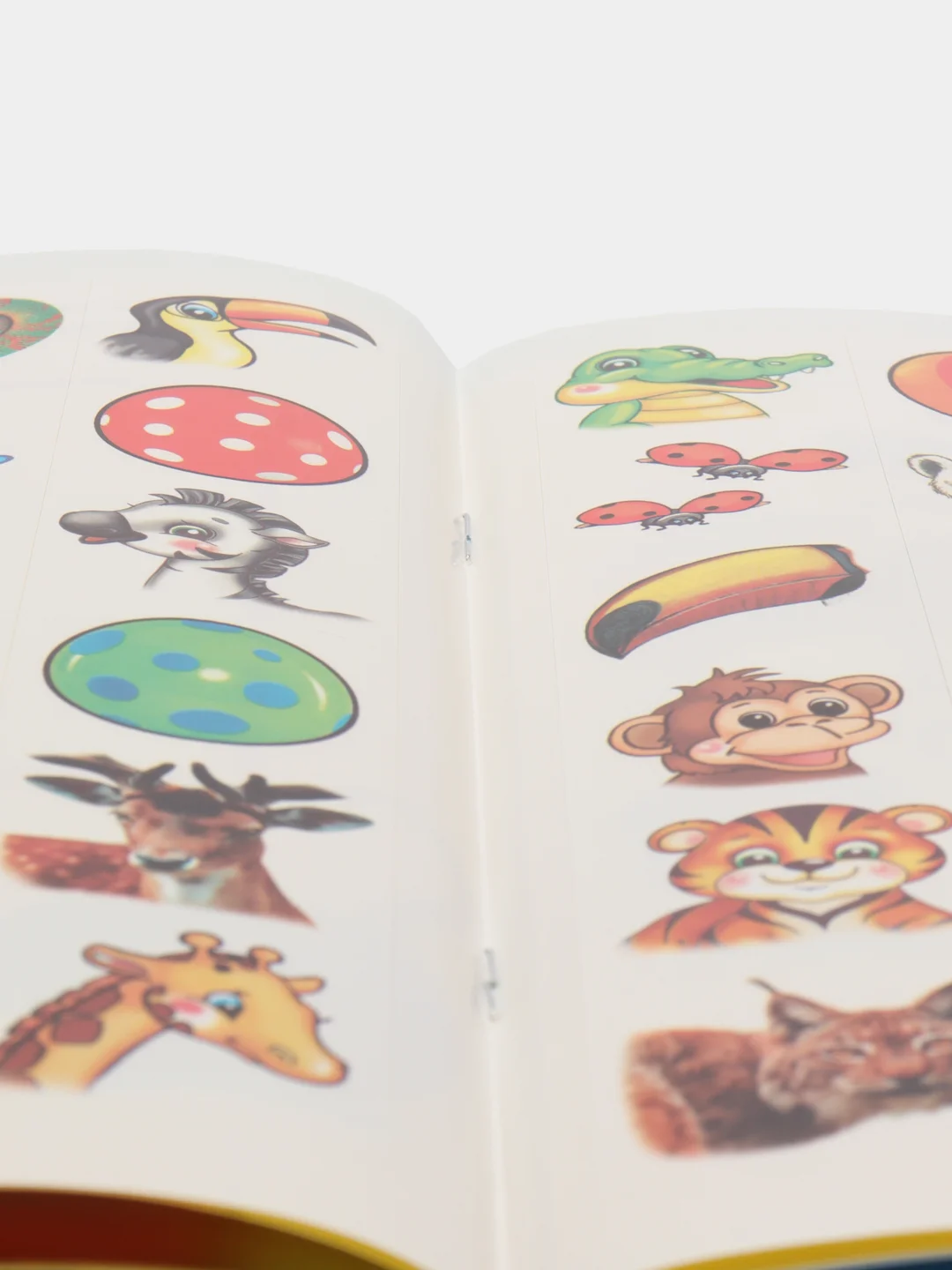 Салатовый книга для детей 4-7 лет, с наклейками, 12 страниц, размер 22 x 16