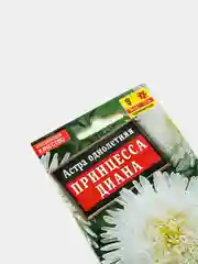 Астра Принцесса Диана, семена (Аэлита)