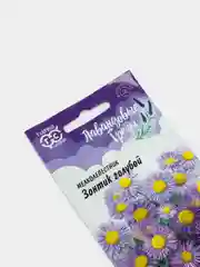 Мелколепестник Зонтик голубой (семена,цветы)
