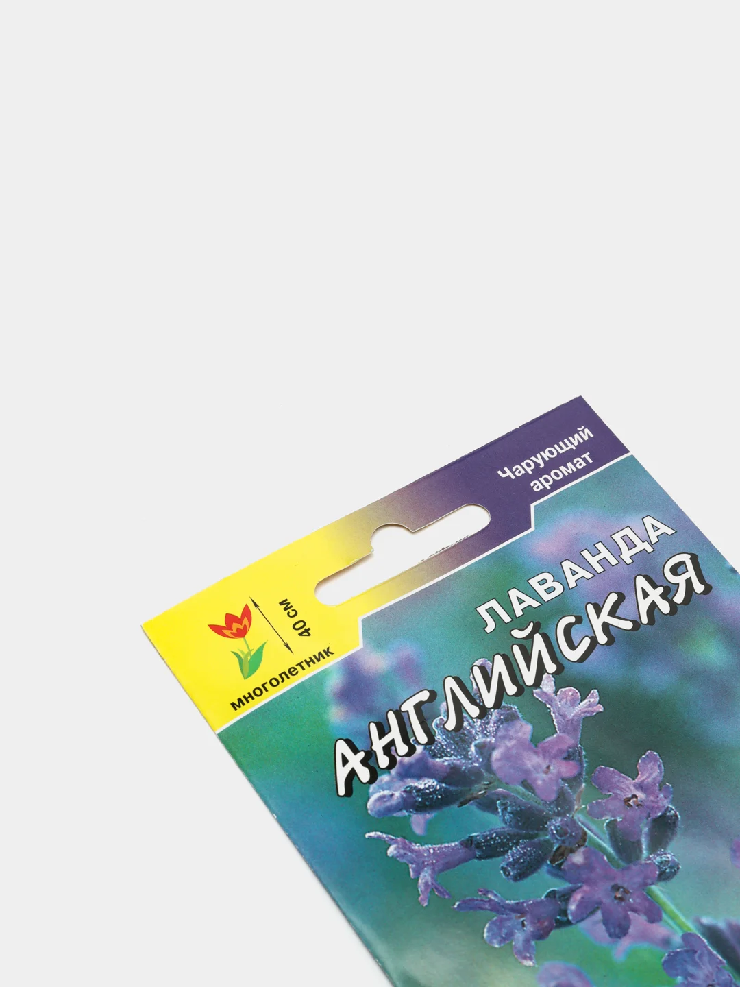 Лаванда Английская (семена,цветы)