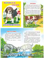 Книга для детей 4- 7 лет. Текст разделен на слоги, формат 16х22 см, 8 страниц