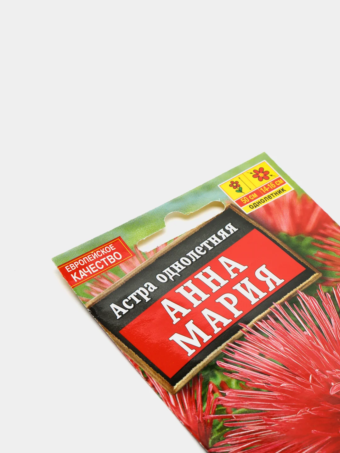 Астра Анна Мария, семена (Аэлита)