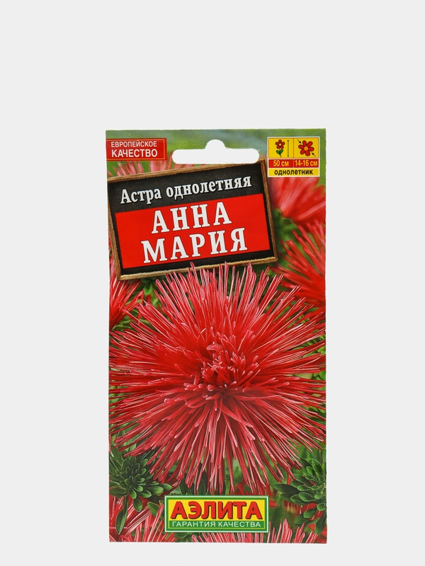 Астра Анна Мария, семена (Аэлита)