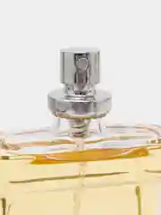 Туалетная вода мужская Instinct Platinum, 100 мл