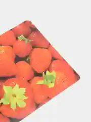 Красный салфетка кухонная. Плейсмат. Скатерть. Подставка под посуду. Салфетка сервировочная