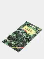 Ежевика "Чародейка", семена