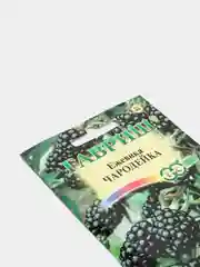 Ежевика "Чародейка", семена