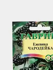 Ежевика "Чародейка", семена