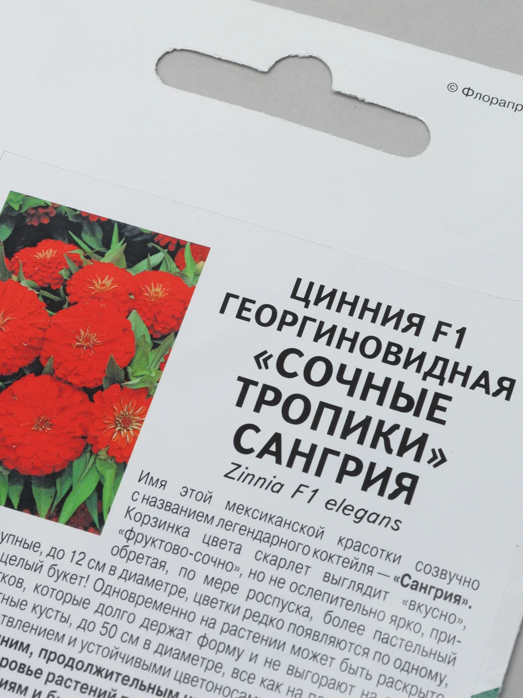 Семена циннии "Сангрия" Партнер