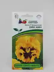 Семена Партнер Виола "Кан кан"