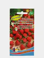 Земляника ремонтантная Барон Солемахер, семена