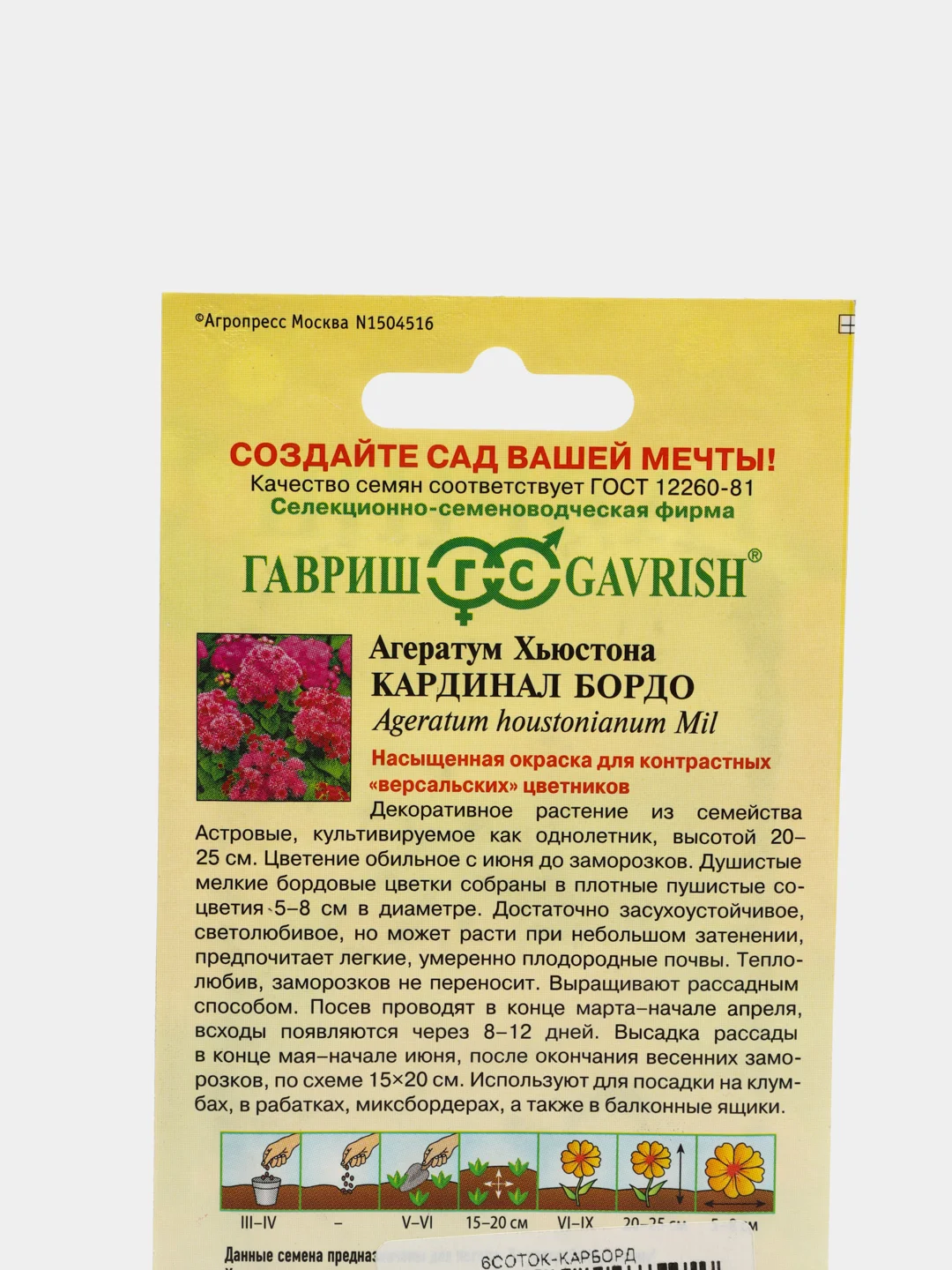 Семена Агератум "Кардинал Бордо"