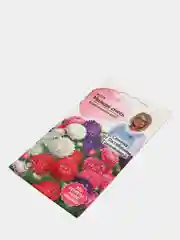 Цветы Астра "Миледи смесь", семена
