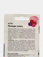 Цветы Астра "Миледи смесь", семена