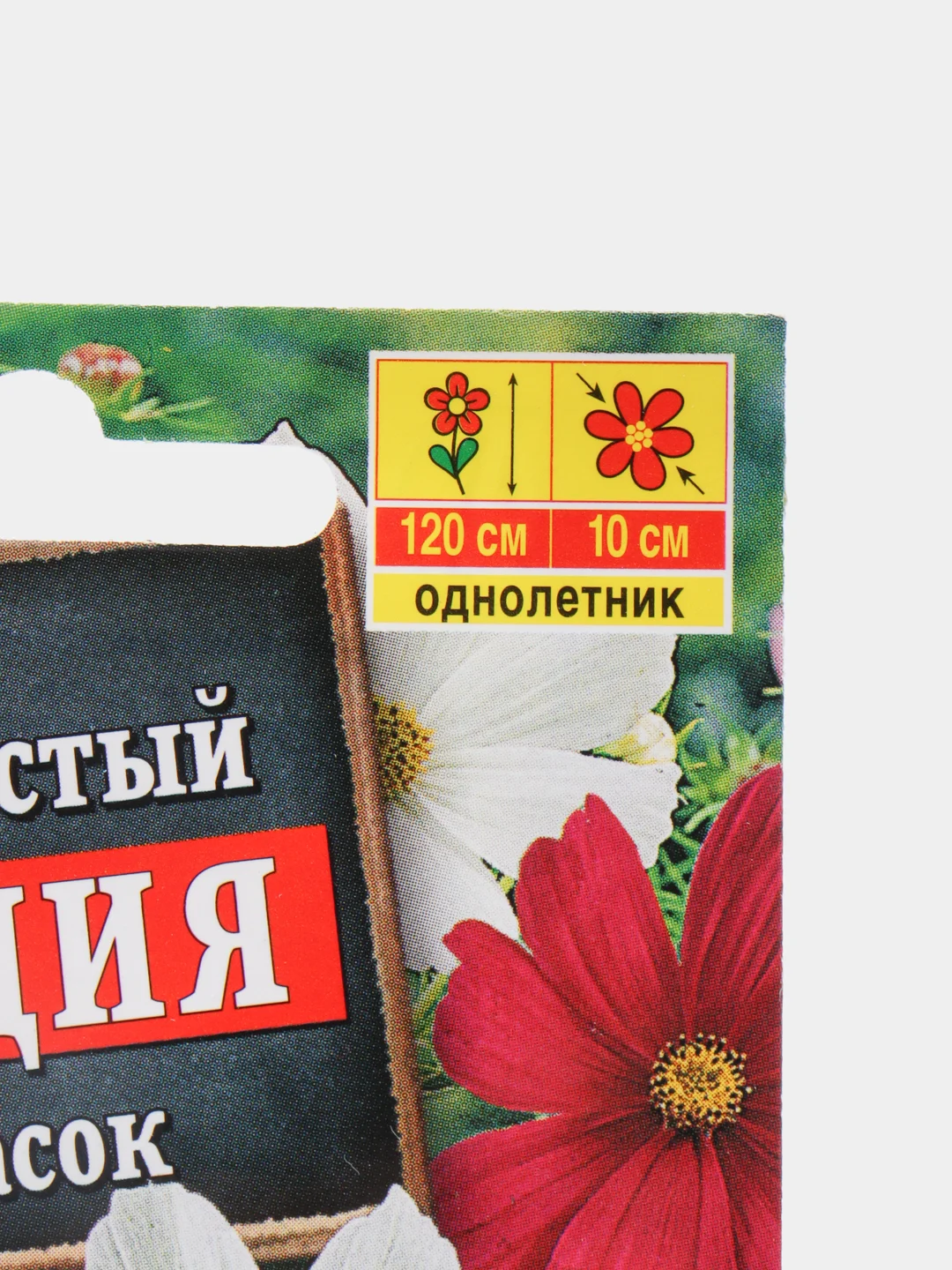 Семена Космос "Сенсация"