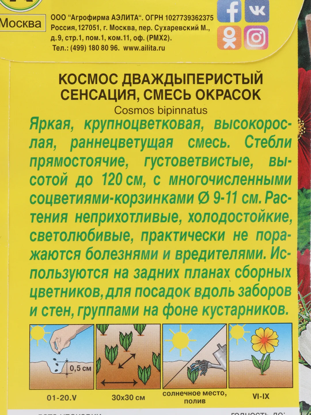 Семена Космос "Сенсация"