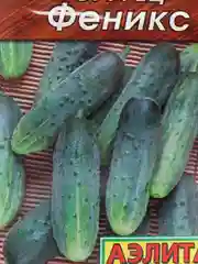 Семена Огурец "Феникс"