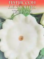 Семена Патиссон "Летающая тарелка"