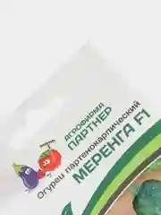 Семена огурца "Меренга" Партнер
