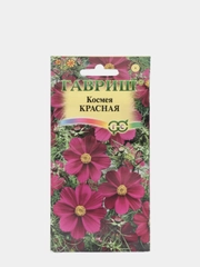 Космея красная, семена