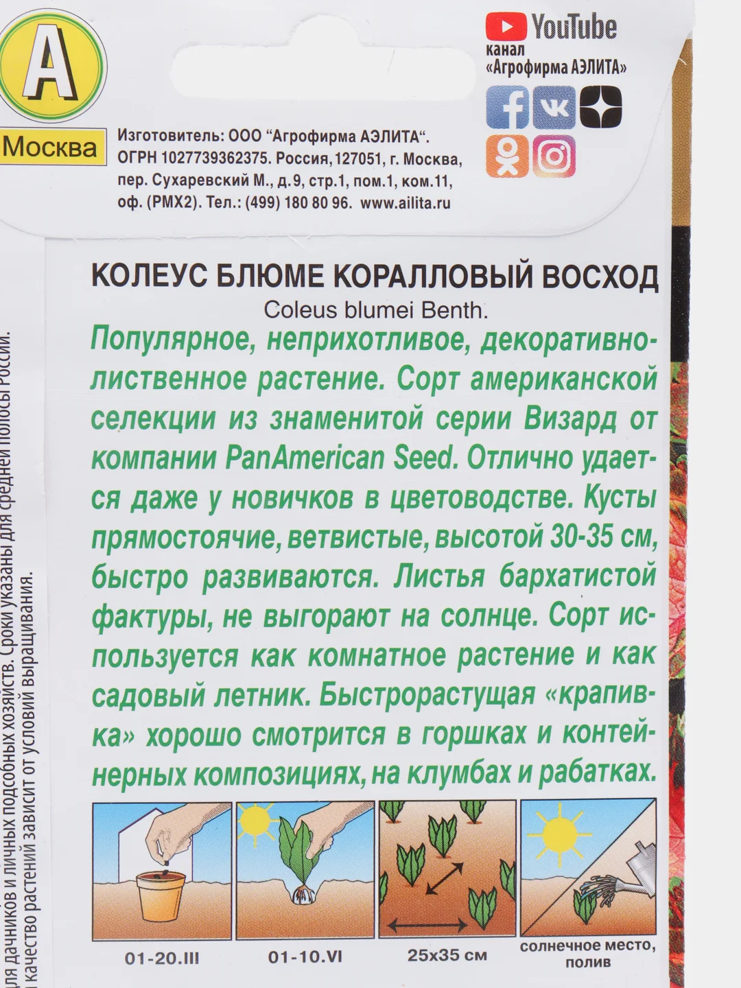 Колеус блюме "Коралловый восход", семена