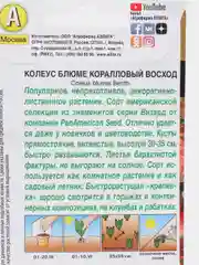 Колеус блюме "Коралловый восход", семена