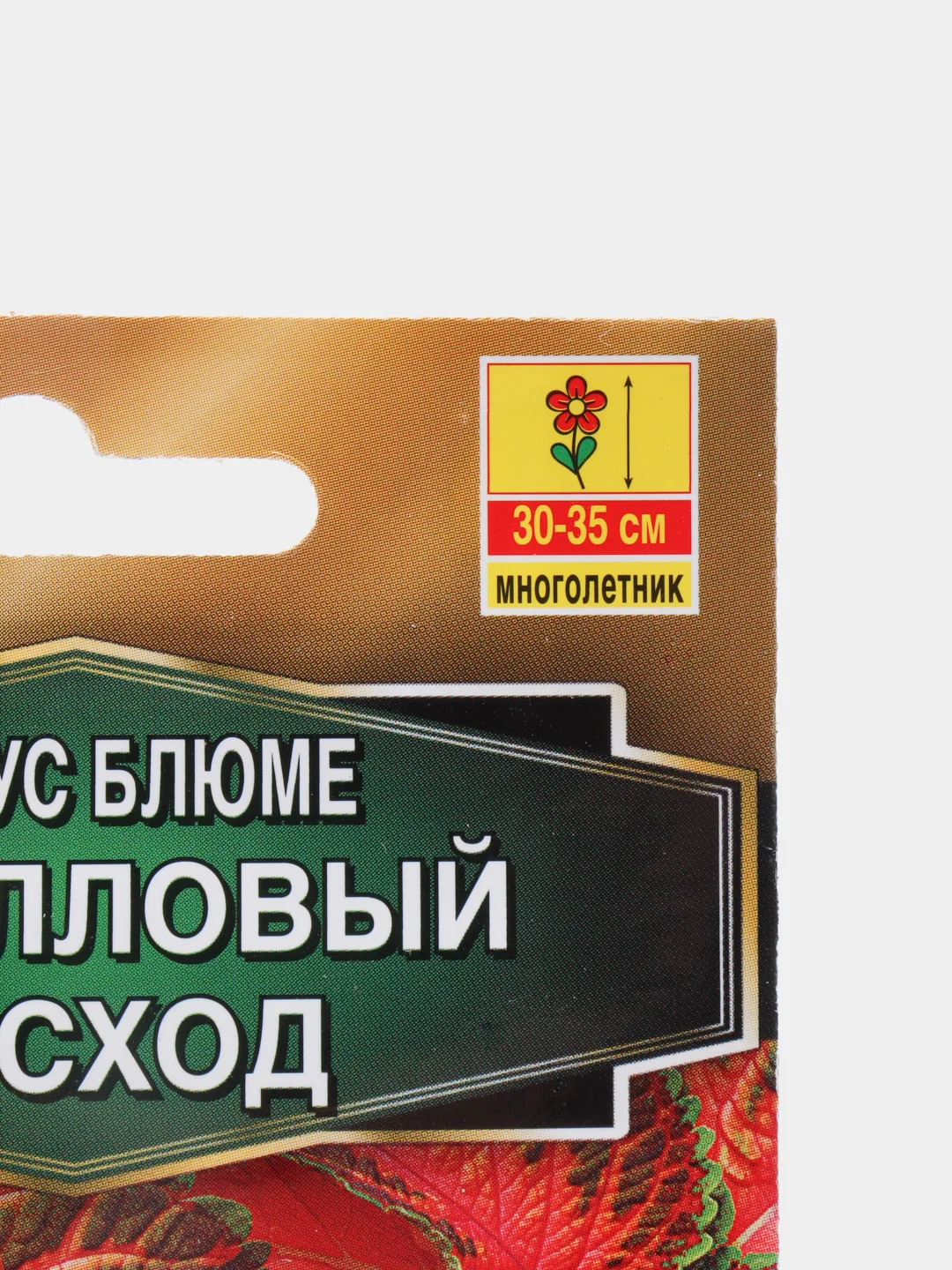 Колеус блюме "Коралловый восход", семена