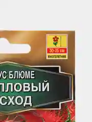 Колеус блюме "Коралловый восход", семена