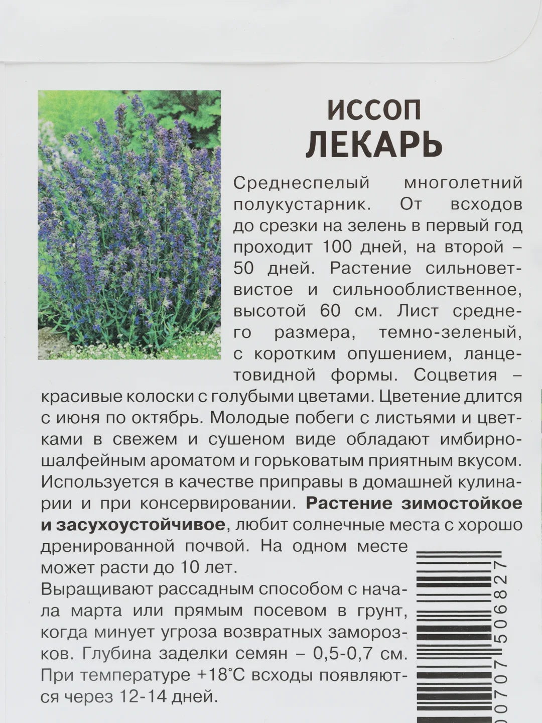 Семена "Иссоп Лекарь", Партнер