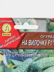 Семена Огурец "На вилочке"