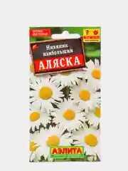 Нивяник ромашка Аляска (семена)